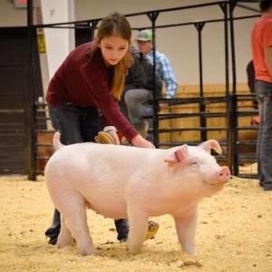 Meet your Posher, Leighton